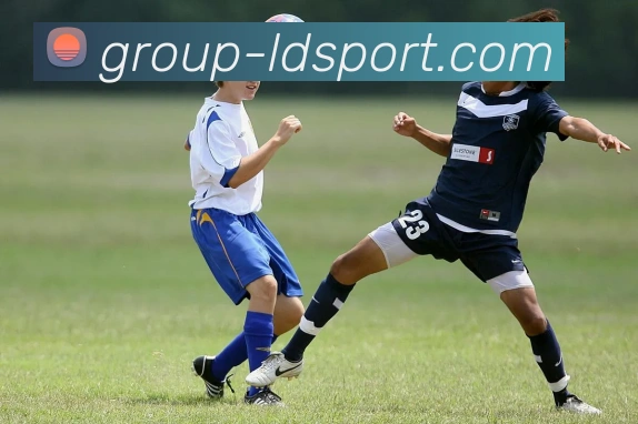 乐动体育发展历程